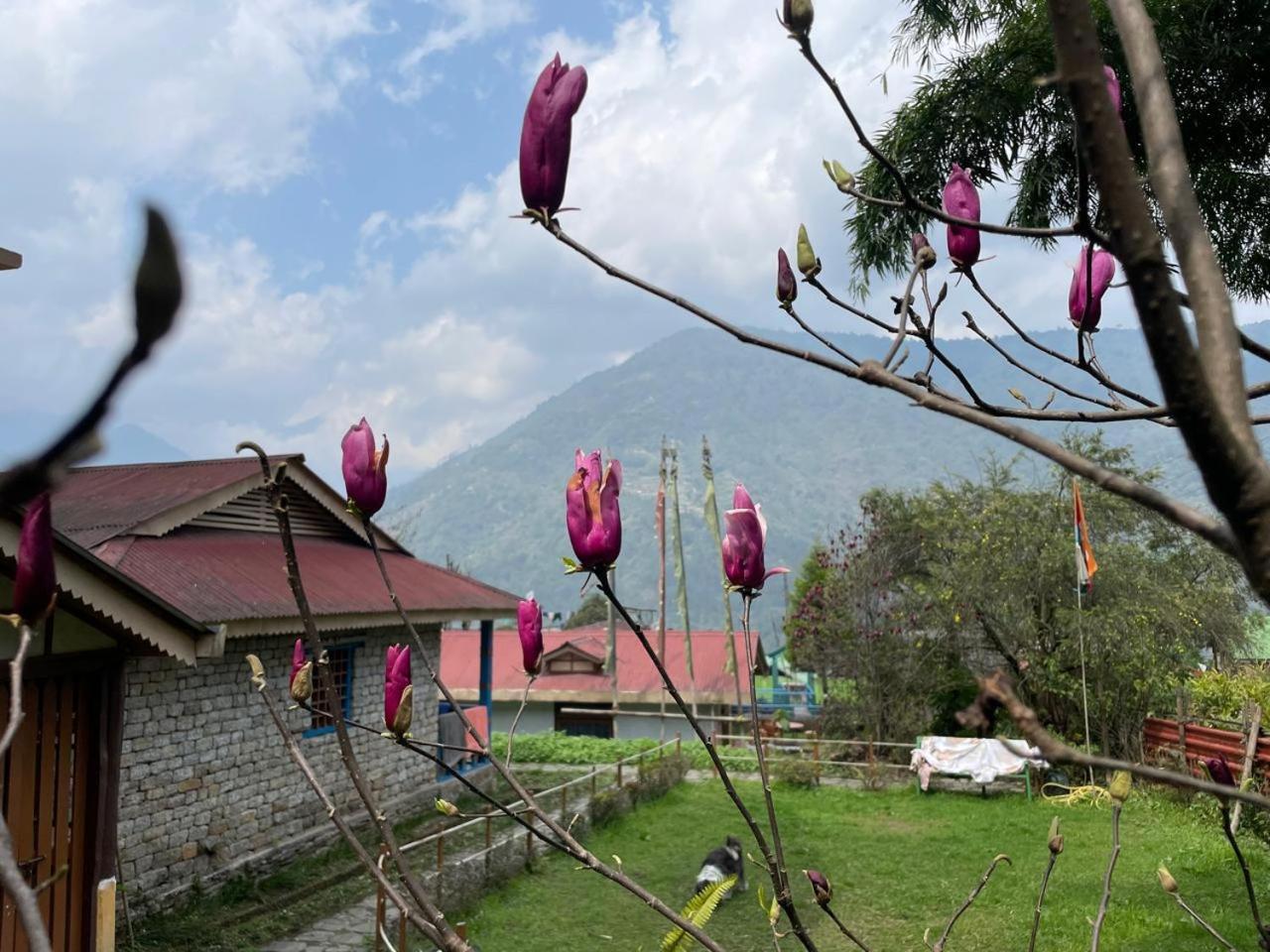 Daragaon Retreat Pelling Exterior foto